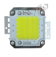 Dioda LED power 30W 6000-6500K [2400lm]